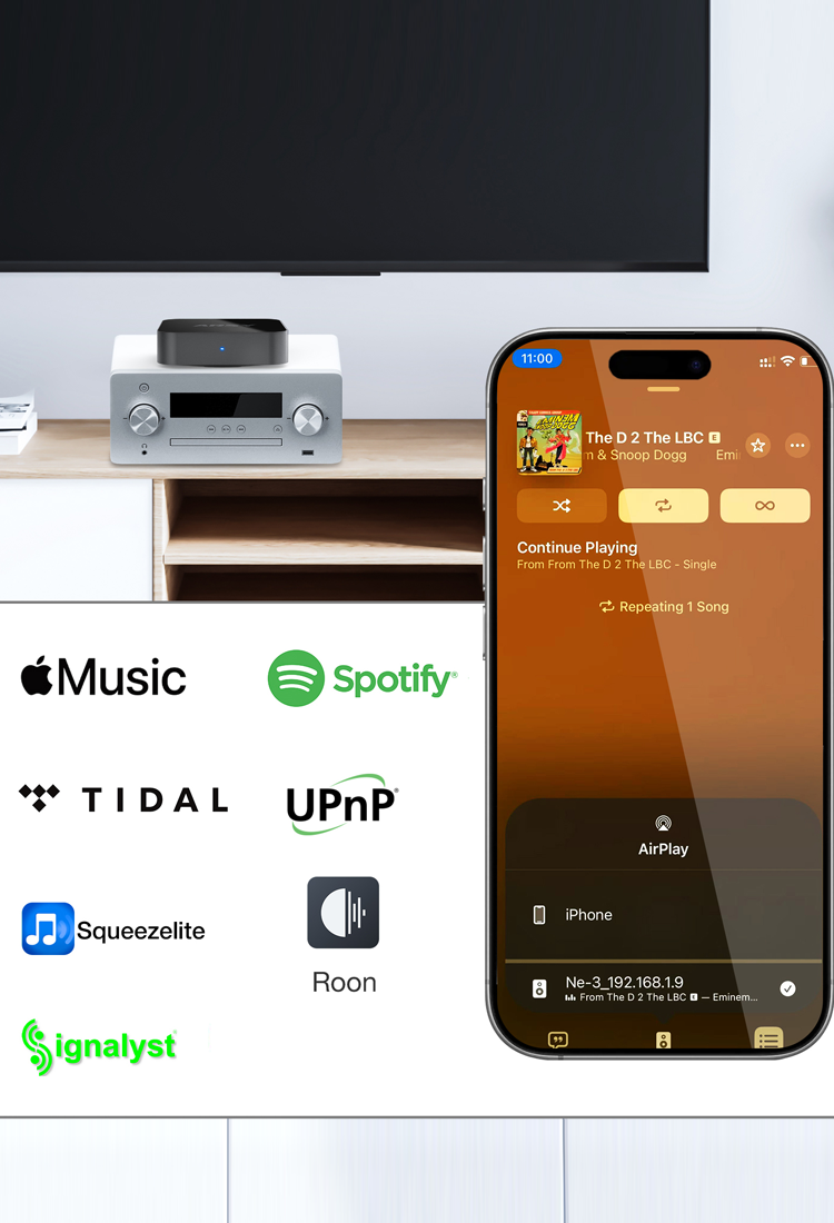 arsy_ne-3_streaming_music_player_11.png